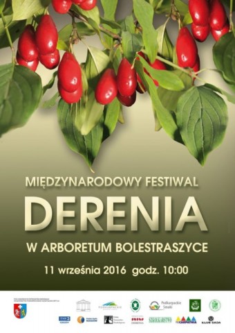 plakat-festiwal-derenia-2016-r-566x800